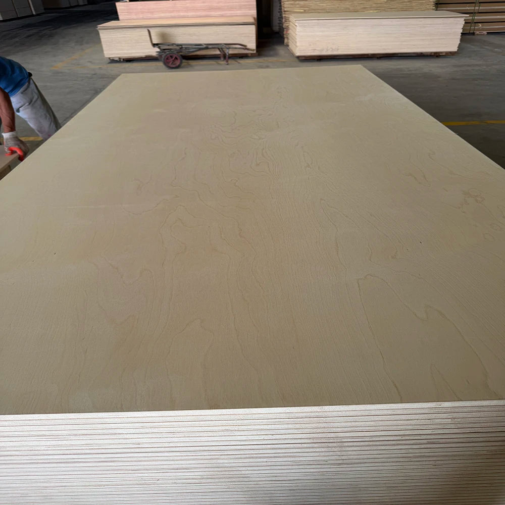 White Birch Plywood 1220x2440mm Modern Design E2 Formaldehyde Indoor Furniture Use Competitive Price