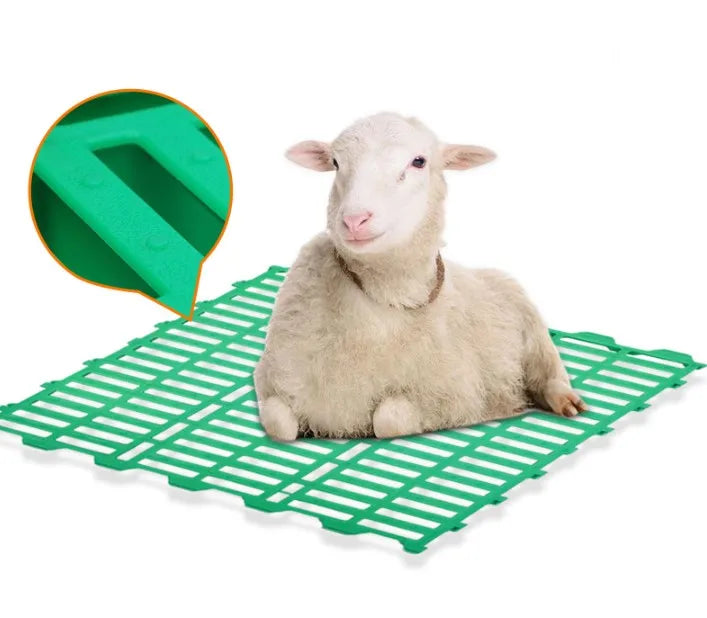 BERYS Hot Sale 100x50x5cm New Green PP Plastic Slatted Floor for Goat Farm with 1 Year Warranty