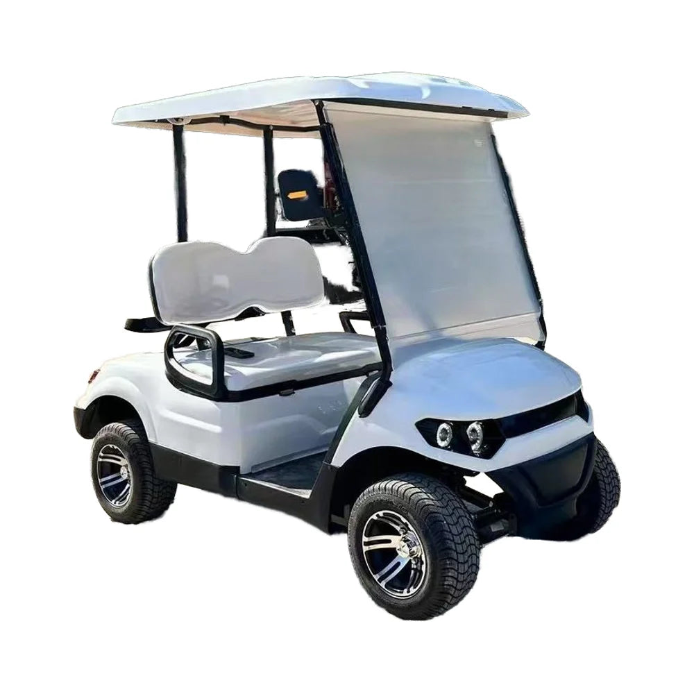 OEM Custom 2-Seater Electric Golf Cart Scooter with 4 Wheels Electric Hunting Buggy Car for Sale