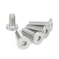 M2 M2.5 M3 M4 M5 M6 M8 Allen Hex Socket ultra Thin Low Flat Head Wafer Head Bolt Screw Stainless Steel Black