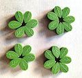 Hot Sell  Garden Plant Climbing Wall Fixture Clips Self-Adhesive Hook Vines Traction Unseen Holderfor Home Plant Support