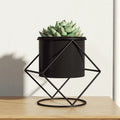 Wholesale From Our Factory Candy Color Mini Indoor Flower Pot Rack Iron Flower Pots Planters Home Garden Decoration Design Shape