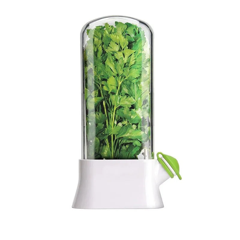 Best Seller Large Capacity Plastic Herb Storage Container Transparent Refrigerator Herb Saver Keeper for Freshness Big Herb MegaBDM