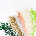 Wholesale Hot Selling Dried Flowers Bouquet Preserved Flowers Italian Ruscus Branches for Home Wedding Decoration