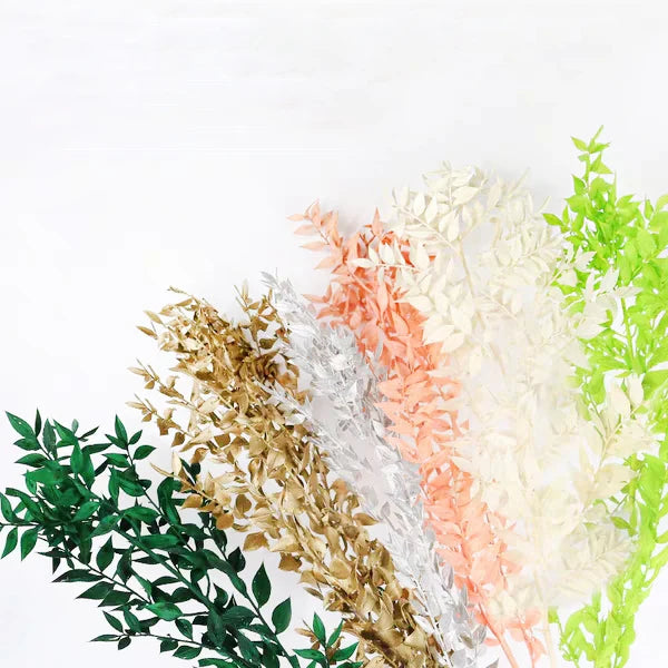 Wholesale Hot Selling Dried Flowers Bouquet Preserved Flowers Italian Ruscus Branches for Home Wedding Decoration