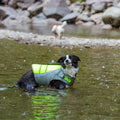 Truelove Luxury Designer Reflective Puppy Dog Life Jacket Waterproof Fashion Breathable Training Clothes Coat Transparent Style