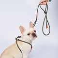 Designers Pet Dog Harness Leash Handmade Integrated Dog Chest and Back Traction Rope Nylon Easy Walk Dog Harness Leash
