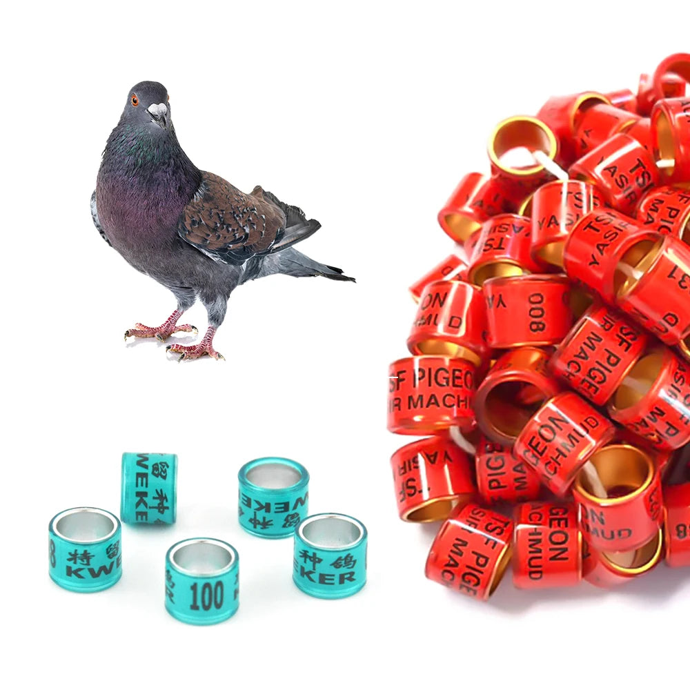 Pigeon Leg Rings 4Mm Private Ring Aluminium Pigeon Bands Foot Birds Leg Ring for Pigeons