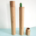 Bamboo Wood Toothbrush Travel Kit Portable Eco-Friendly Toothbrush Set with Case for Travel