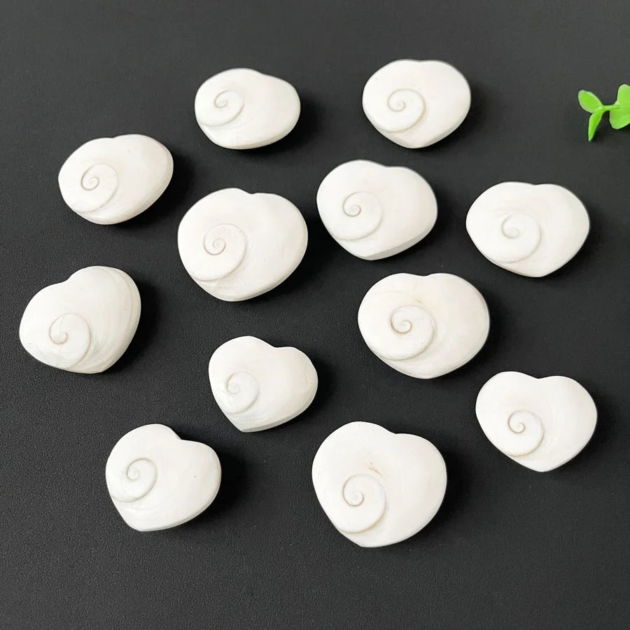Wholesale Marine Shell Fossil Stone Heart Shaped Sun Shell Fossil Heart for Gift