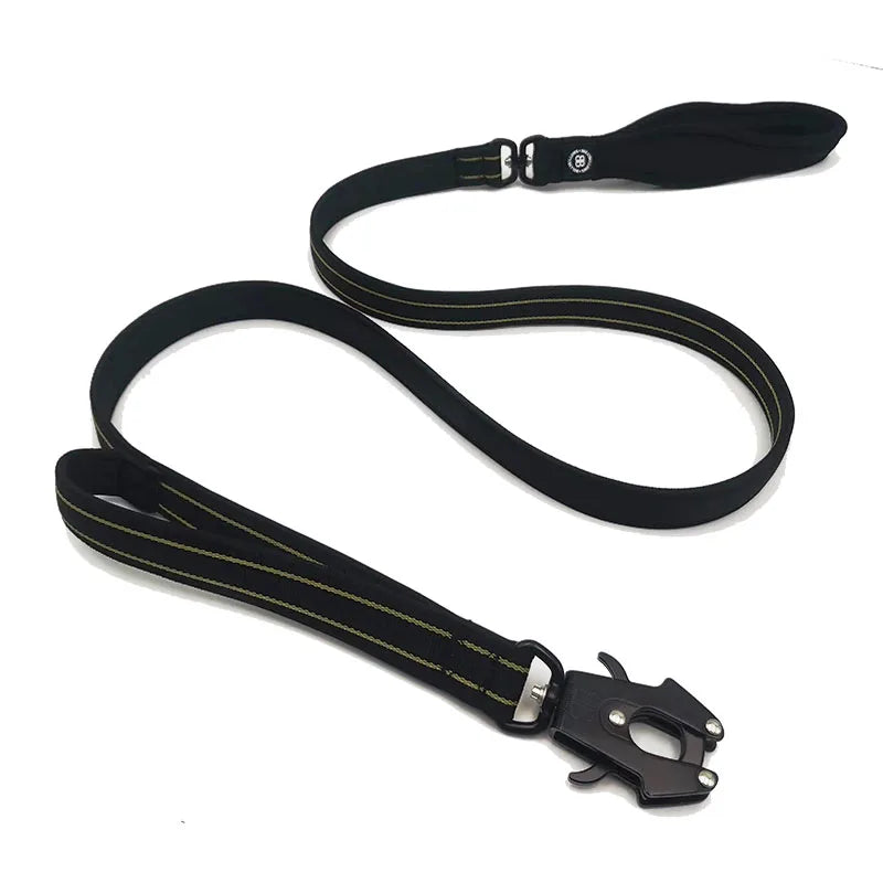 Custom Soft Padded Walking Dog Leash with Double Handle Nylon Neoprene Leash for Dog