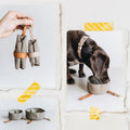 Portable Canvas Travel Dog Food Bowl Waterproof Foldable Dog Feed Bowl Outdoor Collaspisible Dog Water Bowl