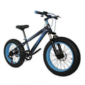 4.0 Disc Brake 21 Speed Steel Frame Aluminum Alloy Fork Front Suspension Lightweight All Mountain Adult Mountain Bike Fat Tire