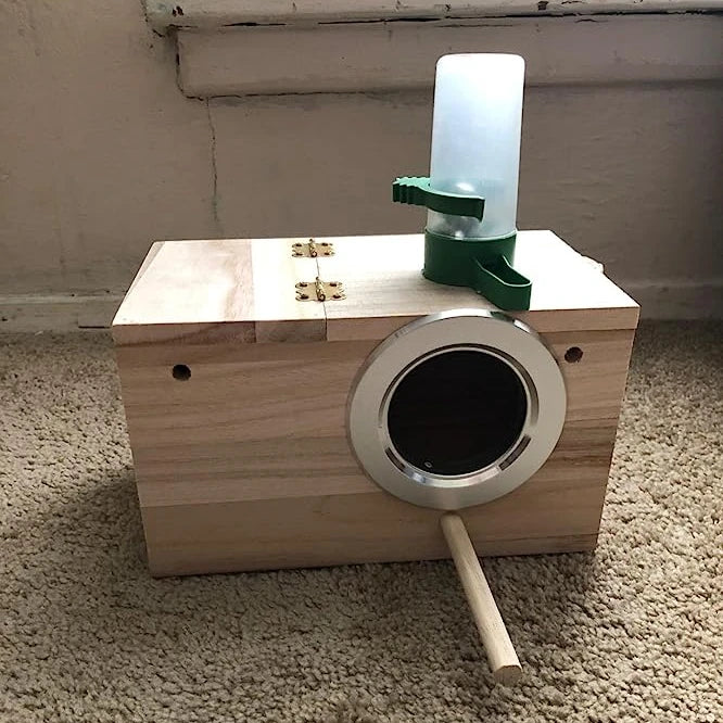 Avery Modern Wooden Bird Bamboo Cage Box for Parakeet Budgie Cockatiel Breeding Furniture for Bird Nesting in Living Room