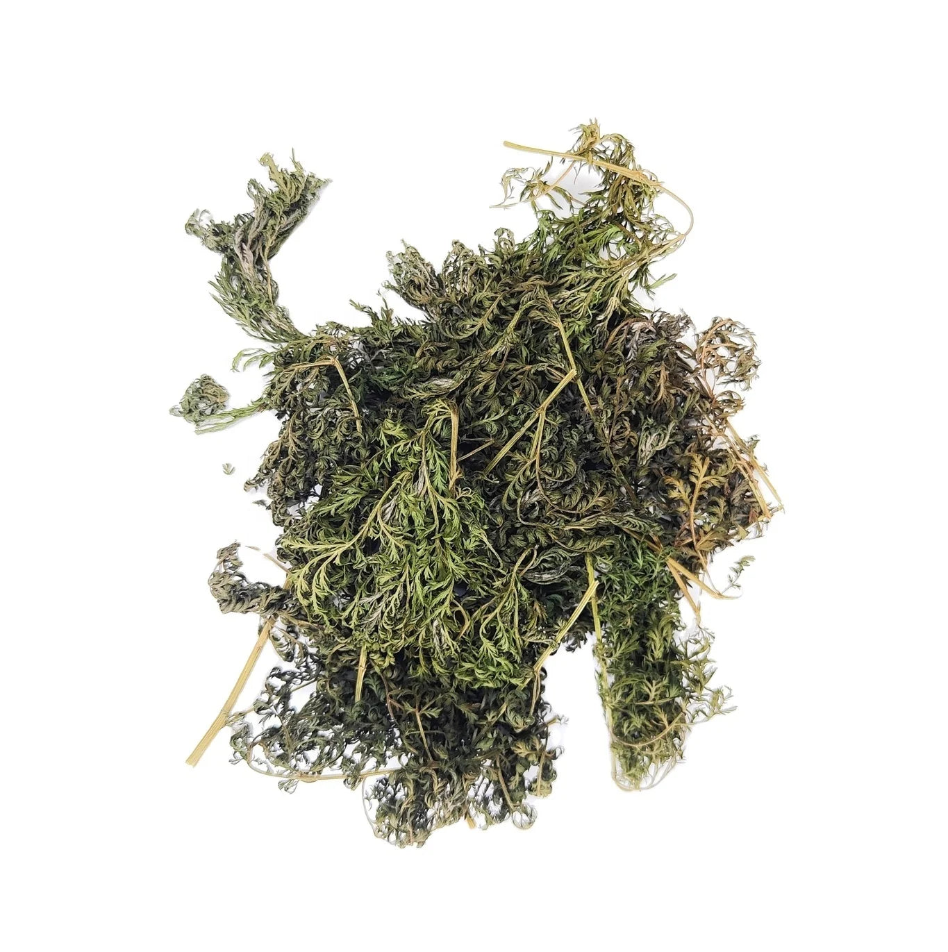 KAIYANGE Wholesale Organic Dried Artemisia Annua L. Leave Fragments Qing Hao Wild Artemisia Annua Aboveground Herbal Tea