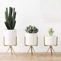 Flower Pot Indoor Mid Century Style Plant Stand Modern Vase Mini Office Plant Display Kits Powder Coated Metal Iron High Quality
