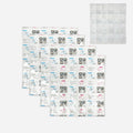 Shipping Cold Packs Dry Ice for Shipping Frozen Food Ice Pack Sheet Absorption Water for Fresh Food Delivery