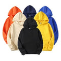Fitspi Heavyweight Plain Hoodies Custom Logo Print Blank Thick Luxury Hoodies Tracksuit Unisex Fleece
