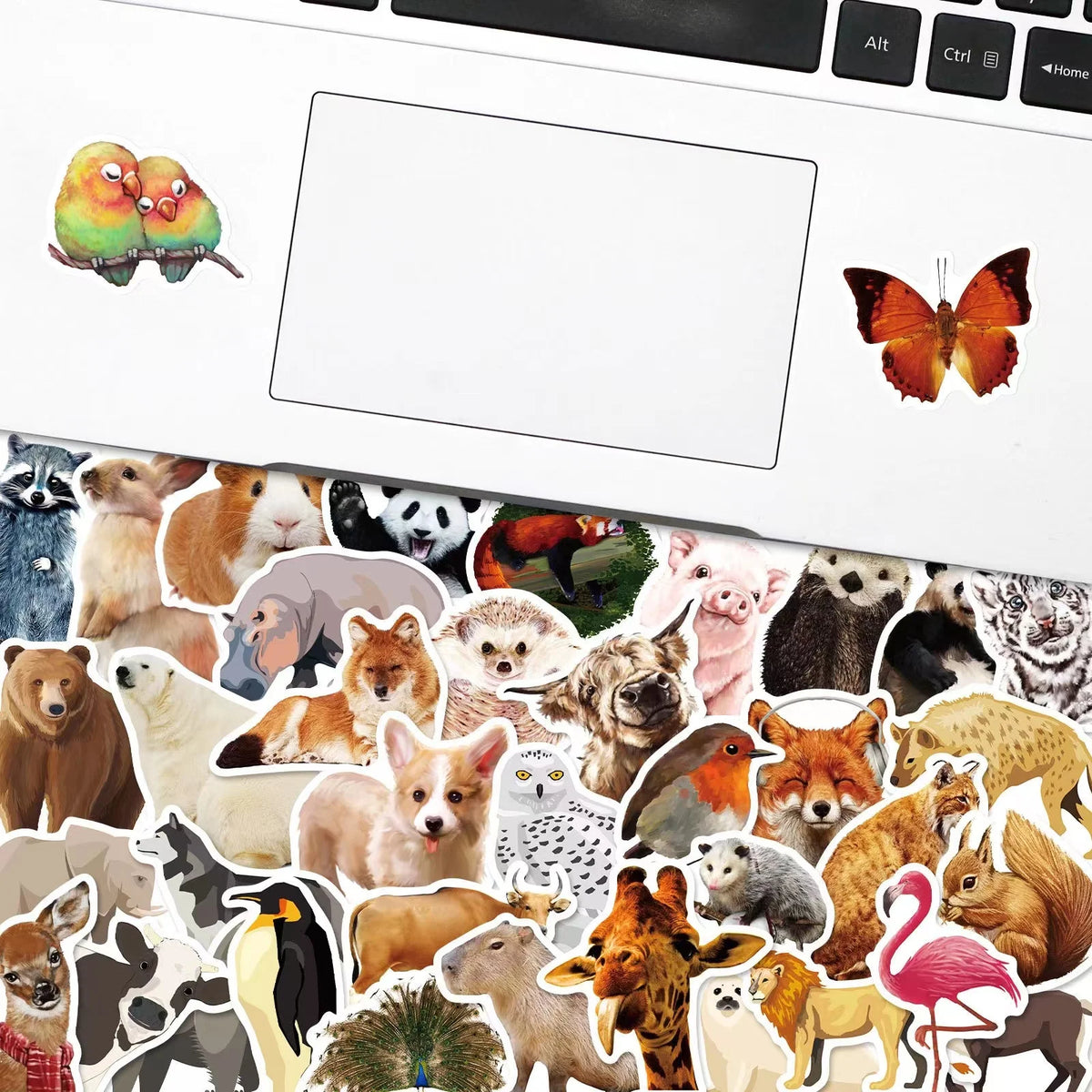 50pcs Zoo Series Graffiti Stickers Packs for Cartoon Cute Waterproof Teacher Skateboard Bottle Refrigerator Decoration DIY
