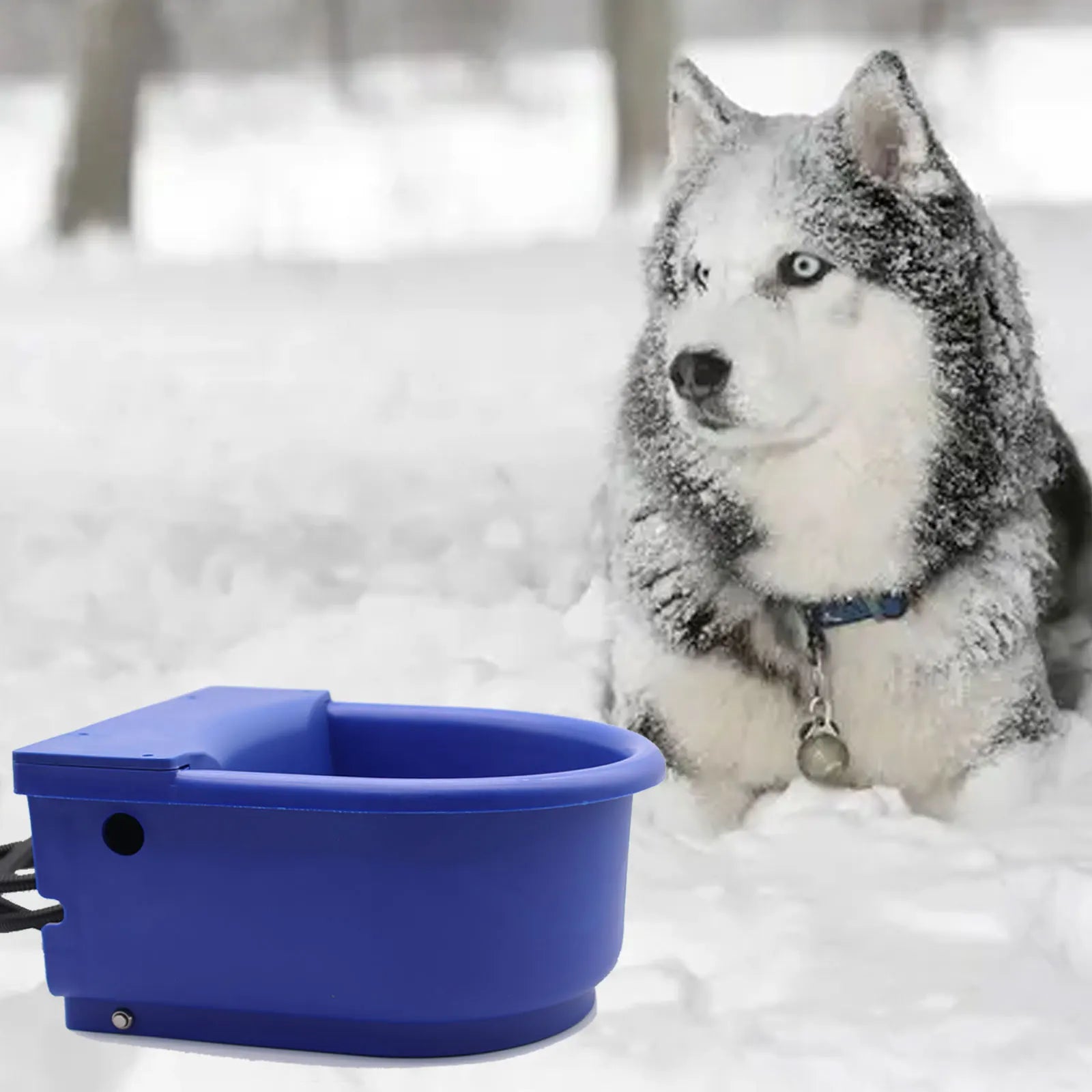 Automatic Heating Bowl for Dog Cattle Cat Plastic Blue Water Bowl Poultry and Home Use Animal Heated Drinker