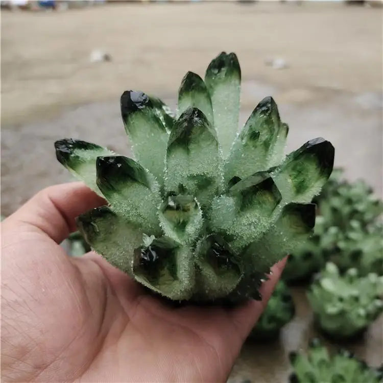 CELION Wholesale Natural Quartz Crystal Green Phantom Ghost Cluster for Decoration