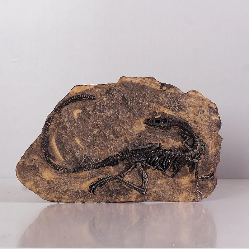 Wholesale Dinosaur fossil Ornaments SKD09 Dinosaur Resin Crafts Landscape Aquarium Ornament for Home Decoration