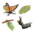 Wholesale Solid PVC Model Animal Figurines Butterfly Froy Spider Life Cycle Figurines
