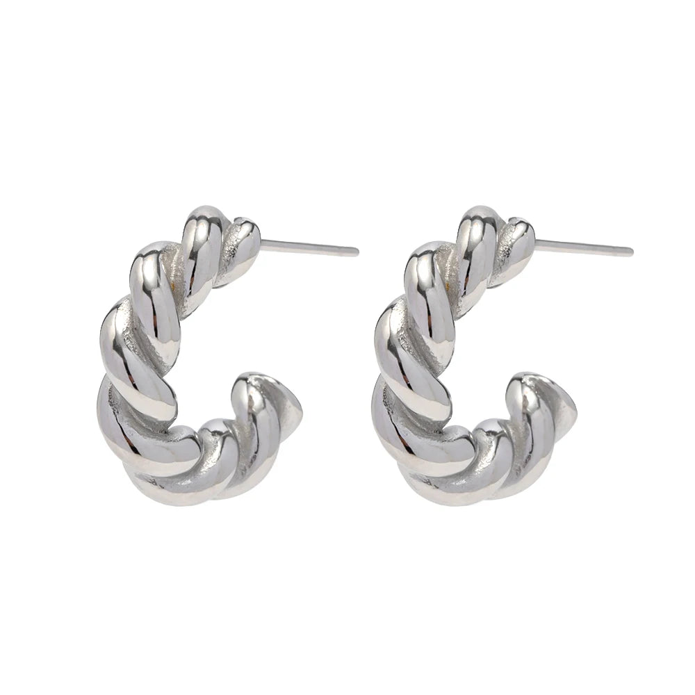 New Spiral Style Rope Twist Earrings Stainless Steel Silver Color Twisted CC Hoop Earring for Women