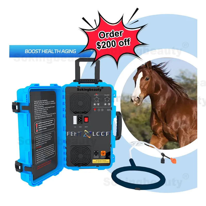 Equine Magnetic PEMF Therapy PEMT Loop Help Horses Alleviate Soreness