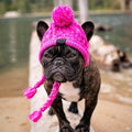 Wholesale Warm Knitting Dog Winter Ear Hat with Scarf