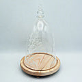 Glass Dome Beauty and the Beast with  with LED  Wood Base