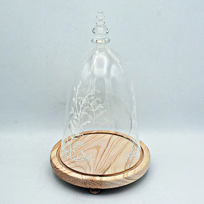 Glass Dome Beauty and the Beast with  with LED  Wood Base