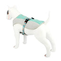Kingtale Summer Heatstroke Prevention Cooling Adjustable Breathable Comfortable Cooling Vest Vest Pet Harness
