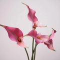 New Design Wholesale 2 Heads Pu Flower Artificial Calla Lily for Home Wedding Decoration
