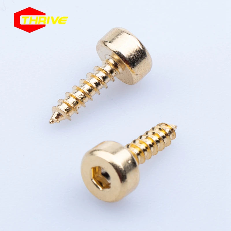 Customized DIN ANSI Cross Torx Pozi Hexagonal groove Self-Tapping Screw Gold Plated Screw Screw