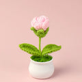 New Arrival Colorful Crochet Bubble Flower Potted Plant with Flowerpot Wholesale Artificial Woolen Knitted Flowers Ornament