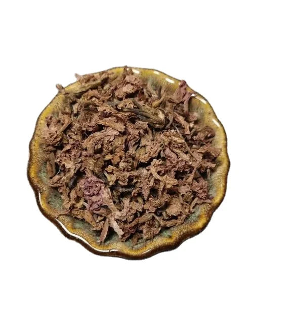 Great Quality Rhododendron Simsii Flower Dried Rhododendron Simsii Flowers for Exporting