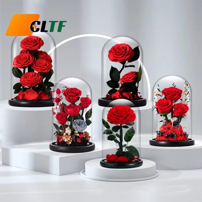 Real Rose with LED Light Preserved Roses in Glass Eternal Flower Dome for Girl Woman Red Valentine's Day Gift Rose