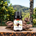 Wholesale Bulk Fragrance Scented Oil Aroma Nebulizer Diffuser for Natural Essential Oils Organic Coffee Bean Coffee Oil