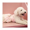 Pet Products Dog Clothing Cat Clothing Bow Lace Princess Style Pink Dress Skirt Can Pull Pet Harness