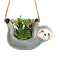 New Sloth Planter Animal Succulent Pot Wall Hanging Plant Holder Sloth Gifts for Pottery Bonsai Air Plant Indoor Outdoor Decor