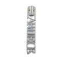 Waterproof Gold Silver Color Custom logo Embossed Metal Zipper Puller for Bag / Clothes