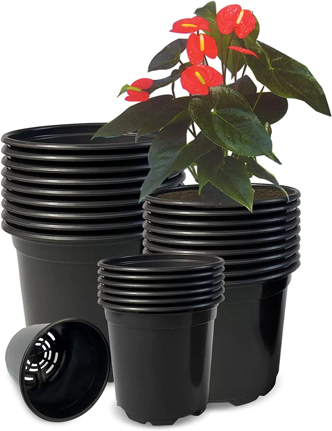 4" Plastic Black Small Plant Pots for Succulent Seedling Cutting Transplanting