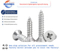 Wholesale Self-Tapping Screw DIN Standard China Manufacturer's Stainless Steel Zinc Plated Black Oxide Finish Metric Measurement