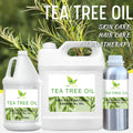 Private Label Essential Oils Organic Bulk 100%Pure Natural Australian Tea Tree Oil for Skin Hair Face Aroma Oil