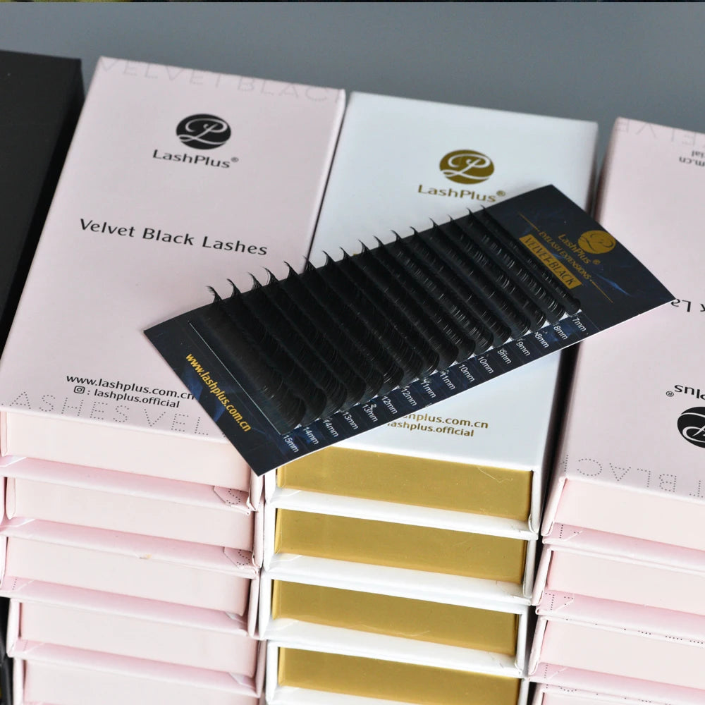 LashPlus Wholesale Lash Suppliers  0.06 C CC D DD Matte Black Cashmere Eyelash Extensions Volume Trays