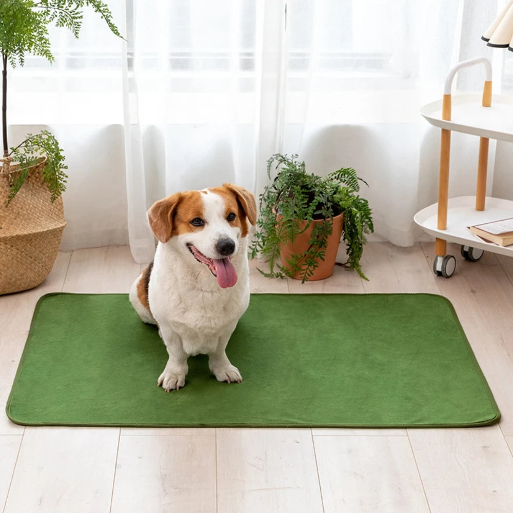 Fleece Pee Pad Pet Training Urine Diaper Pads Reusable Dog Pee Mat Washable