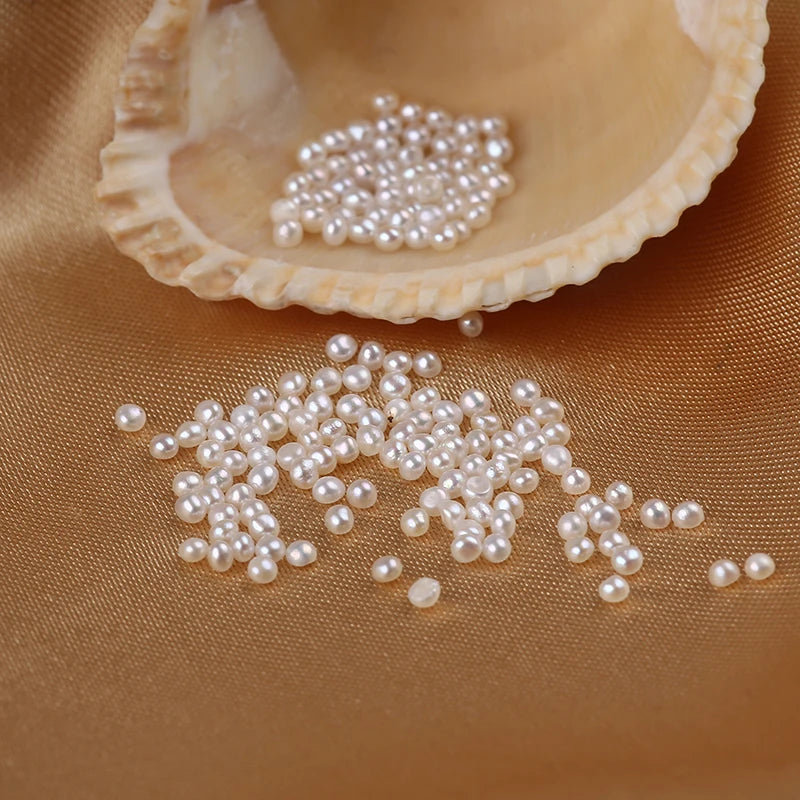 Wholesale Tiny Size 1.8-2mm Natural White Flat Button Freshwater Loose Beads Pearl
