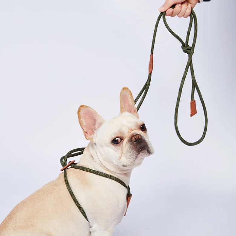 High Quality Handmade Leather Nylon Rope Dog Leash Pet Products Snap Dog Lead Outdoor Training Leashes
