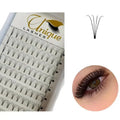 Matte Black 4D Premade Volume Lash Extensions OEM Russian Premade Volume Fans Eyelash Extensions